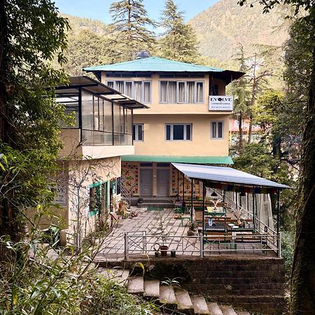 Eevolve Dharamkot - An Eco Hostel McLeod Ganj Eksteriør bilde