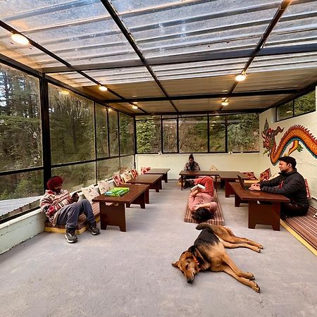 Eevolve Dharamkot - An Eco Hostel McLeod Ganj Eksteriør bilde