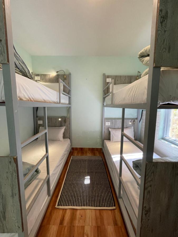 Eevolve Dharamkot - An Eco Hostel McLeod Ganj Eksteriør bilde