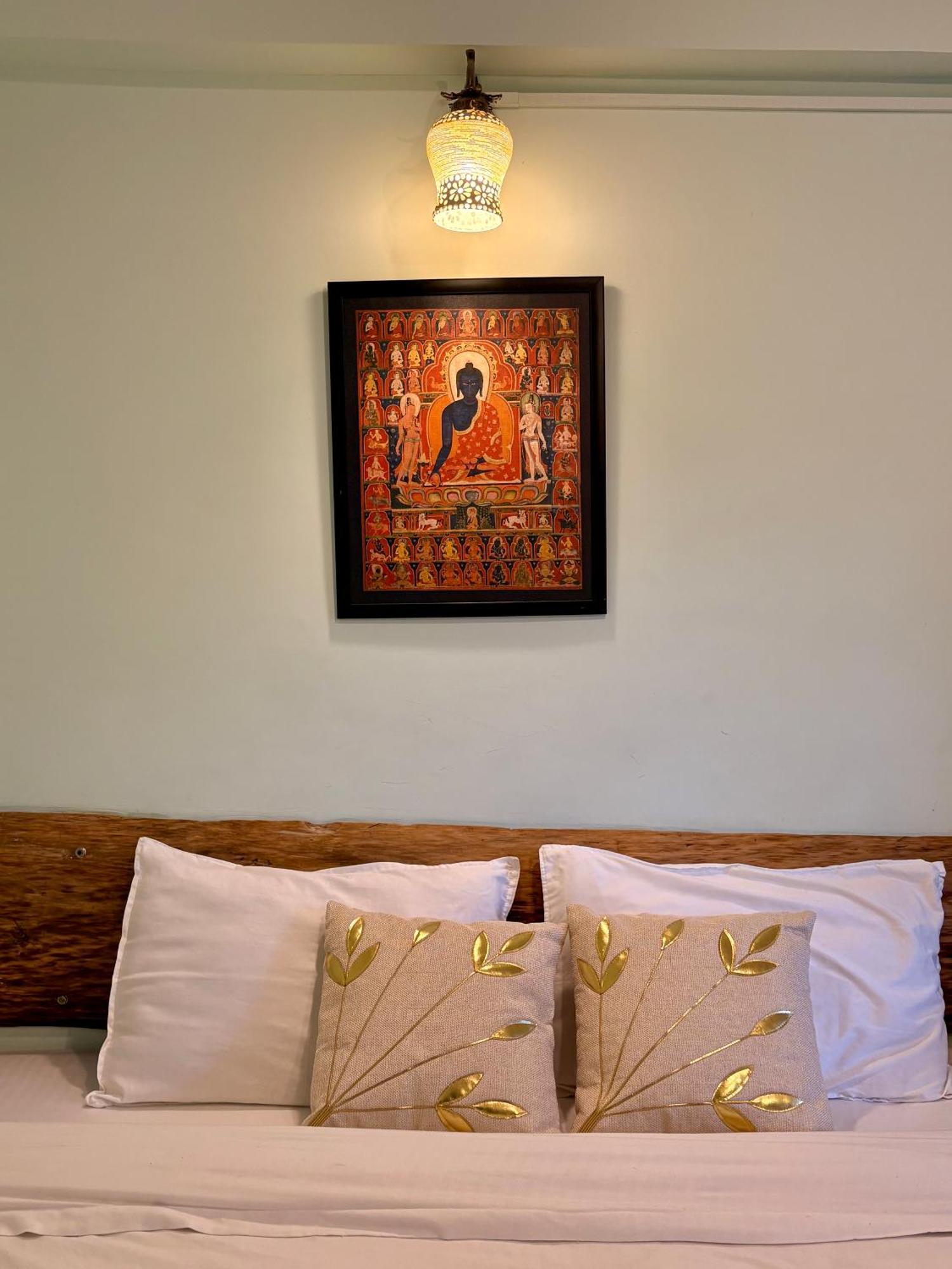 Eevolve Dharamkot - An Eco Hostel McLeod Ganj Eksteriør bilde