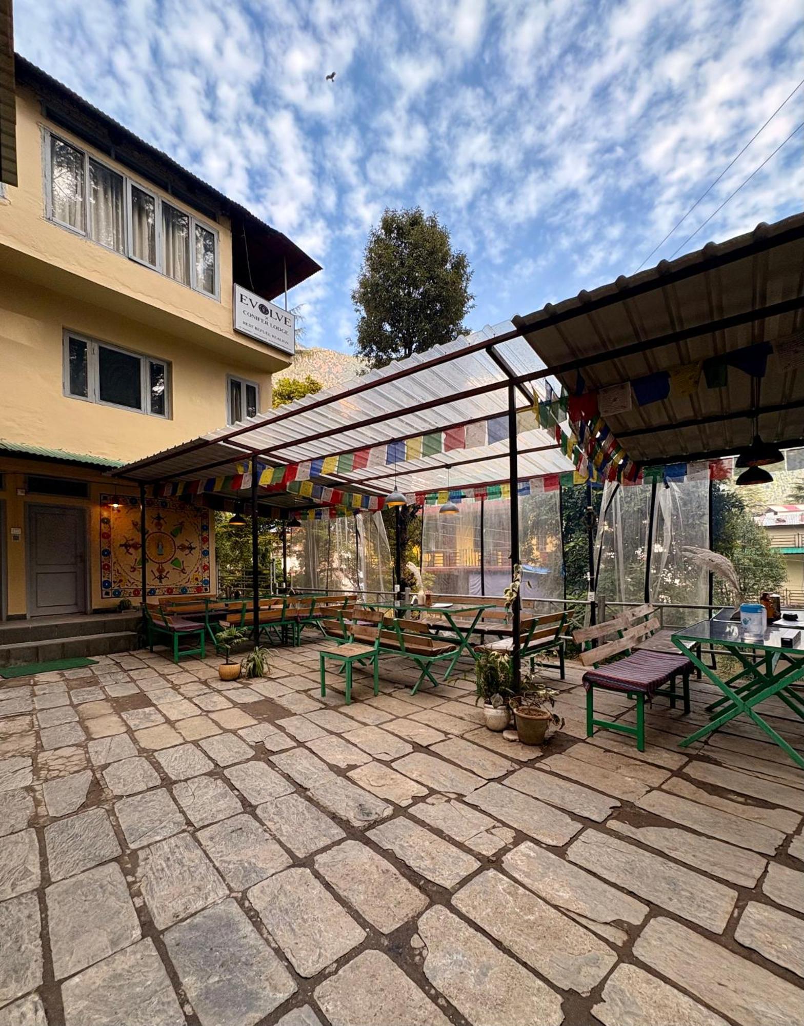 Eevolve Dharamkot - An Eco Hostel McLeod Ganj Eksteriør bilde