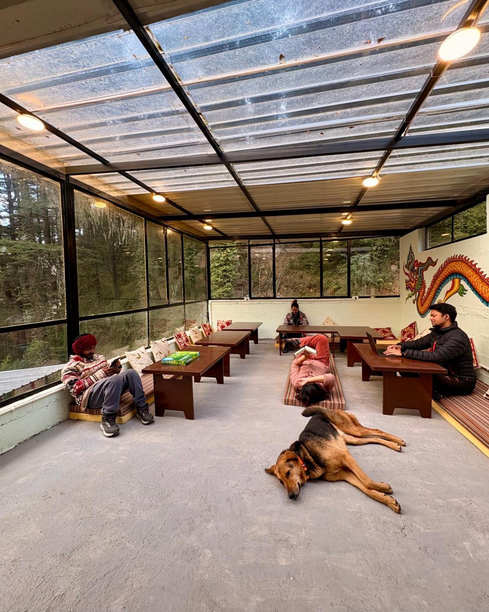 Eevolve Dharamkot - An Eco Hostel McLeod Ganj Eksteriør bilde